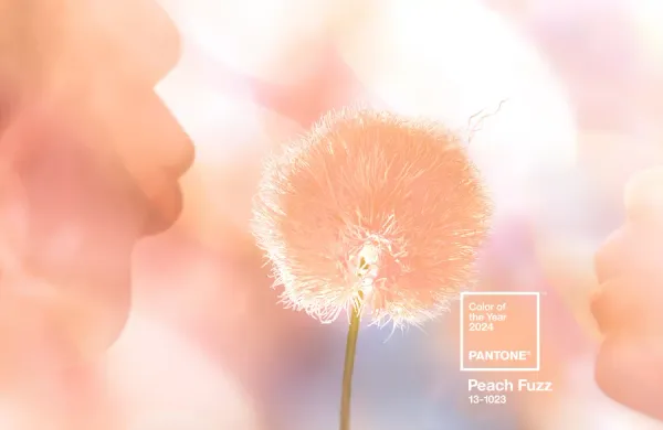 Cor do ano 2024 Pantone Peach Fuzz